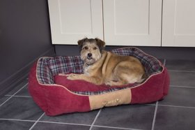 Scruffs Highland Bolster Dog Bed