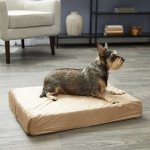 Petmaker Memory Foam Pillow Dog Bed w/Removable Cover