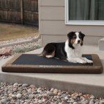 K&H Pet Products Comfy N' Dry Orthopedic Pillow Dog Be, Chocolate, Large