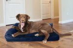 FurHaven Plush Deluxe Chaise Cooling Gel Cat & Dog Bed w/Removable Cover