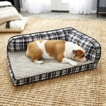 La-Z-Boy Sadie Orthopedic Bolster Dog Bed w/Removable Cover