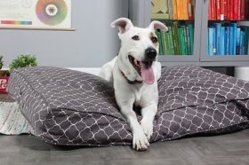 Molly Mutt Clark Gable Square Dog Bed Duvet Cover