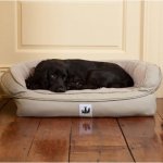 3 Dog Pet Supply EZ Wash Headrest Orthopedic Bolster Dog Bed w/Removable Cover
