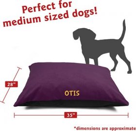 Majestic Pet Villa Personalized Pillow Cat & Dog Bed