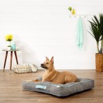 Frisco Tufted Square Orthopedic Pillow Cat & Dog Bed w/Removable Cover