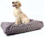 Molly Mutt Clark Gable Square Dog Bed Duvet Cover