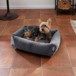 Frisco Velvet Rectangular Bolster Cat & Dog Bed