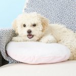 PetZu Heartbeat Dog Pillow