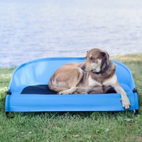 Gen7Pets Cool-Air Cot Elevated Dog Bed