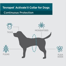 TevraPet Activate II Flea & Tick Collar for Dogs, 2 Collars (12-mos. supply)