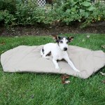 Carolina Pet Bed-In-A-Bag Pillow Dog Bed w/Removable Cover, Olive