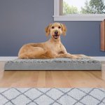 FurHaven NAP Deluxe Memory Foam Pillow Dog Bed w/Removable Cover