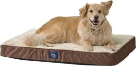 Serta Quilted Orthopedic Pillowtop Dog Bed w/Removable Cover