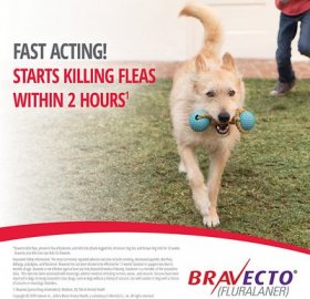 Bravecto Chew for Dogs, 88-123 lbs, (Pink Box)