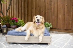 La-Z-Boy Bailey Indoor/Outdoor Sofa Dog Bed