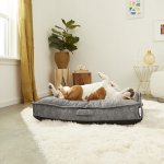 La-Z-Boy Cooper Mattress Pillow Dog Bed w/Removable Cover