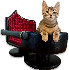 Royal Cat Boutique Royal Davenport Luxury Bolster Dog & Cat Bed