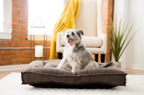 La-Z-Boy Sammy Flanged Pillow Dog Bed w/Removable Cover