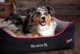 Scruffs Thermal Bolster Dog Bed