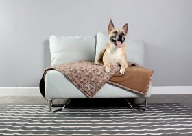 Molly Mutt Daysleeper Dog & Cat Blanket, Tan