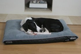 Scruffs Chateau Memory Foam Pillow Dog Be, Dove, Large