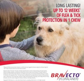 Bravecto Chew for Dogs, 88-123 lbs, (Pink Box)