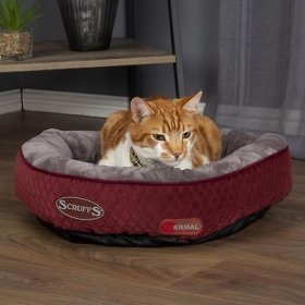 Scruffs Thermal Ring Cat Bed, Burgundy, Medium