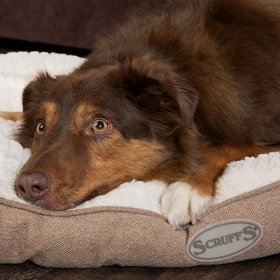 Scruffs Ellen Pillow Dog Bed