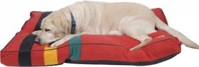 Pendleton Mount Rainier National Park Pillow Dog Bed w/Removable Cover