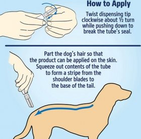 Hartz UltraGuard PluscFlea & Tick Spot Treatment for Dogs & Puppies, 5-14 lbs, 3 Doses (3-mos. supply)