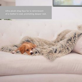 Bundle: Best Friends by Sheri Blanket + The Original Dog & Cat Be, Taupe