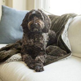 Pet Parents Premium Waterproof Pawtect Blanket Dog & Cat Blanket
