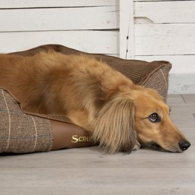 Scruffs Windsor Bolster Dog Bed