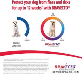Bravecto Topical Solution for Dogs, 4.4-9.9 lbs, (Yellow Box)