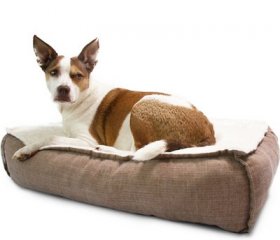 American Kennel Club Memory Foam Pillow Dog Be, Brown, Large