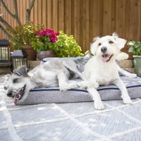 La-Z-Boy Beau Indoor/Outdoor Bolster Dog Bed