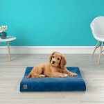Pup Pup Kitty Bliss Orthopedic Pillow Cat & Dog Bed w/Removable Cover