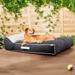 Frisco Indoor/Outdoor Lounger with Pillow Bolster Dog Bed w/Removable Cover