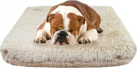 Bessie + Barnie Blondie Deluxe Pillow Cat & Dog Bed w/Removable Cover, Beige