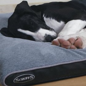 Scruffs Chateau Memory Foam Pillow Dog Be, Dove, Large