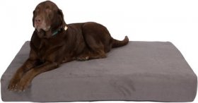 Pet Support Systems Lucky Dog Orthopedic Pillow Dog Bed
