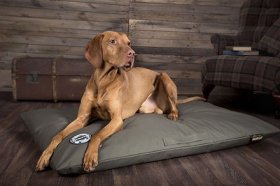 Scruffs Expedition Memory Foam Pillow Dog Be, Olive, Large