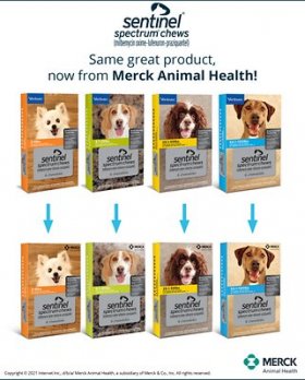 Sentinel Spectrum Chew for Dogs, 8.1-25 lbs, (Green Box)
