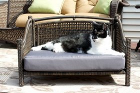 Iconic Pet Maharaja Rattan Sofa Cat & Dog Bed w/Removable Cover, Caramel & Mocha