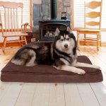 FurHaven Snuggle Deluxe Orthopedic Pillow Cat & Dog Bed w/Removable Cover