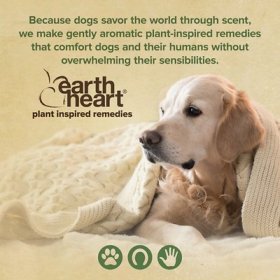 Earth Heart Buzz Guard Aromatherapy Dog Treatment