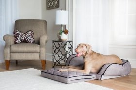La-Z-Boy Duchess Fold Out Sleeper Sofa Dog Bed w/Removable Cover