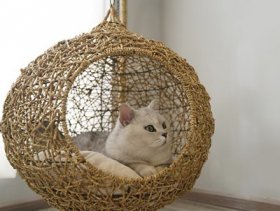 ZEZE Knipsa Bird Nest Cat Swing Chair