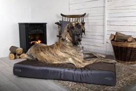 Scruffs Armourdillo Memory Foam Bolster Dog Bed