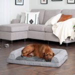 FurHaven Plush & Suede Full Support Orthopedic Sofa Dog & Cat Bed